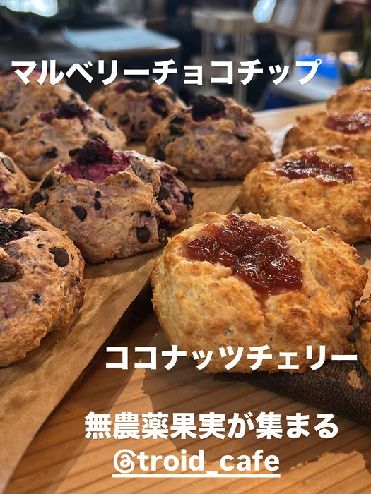 画像2387