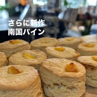画像2394