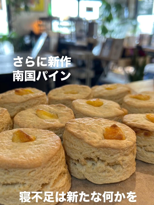 画像2394