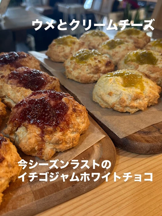 画像2413