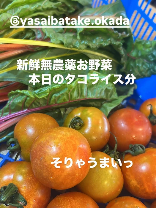 画像2423
