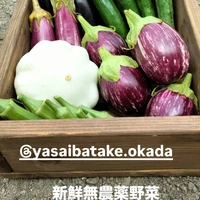 画像2435