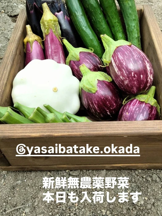 画像2435