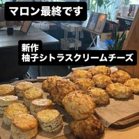 画像2437