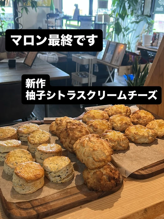 画像2437