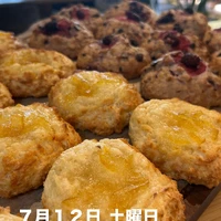 画像2443