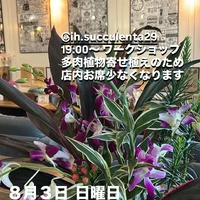 画像2525