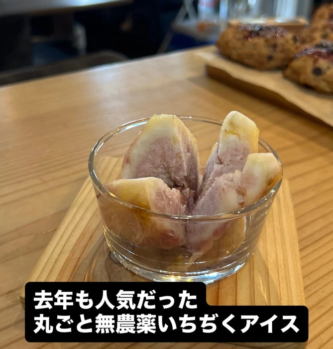 画像2536