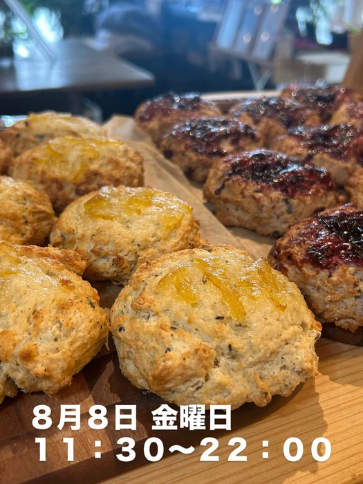 画像2542