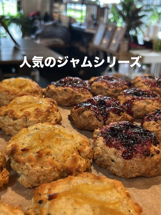 画像2547