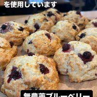 画像2554