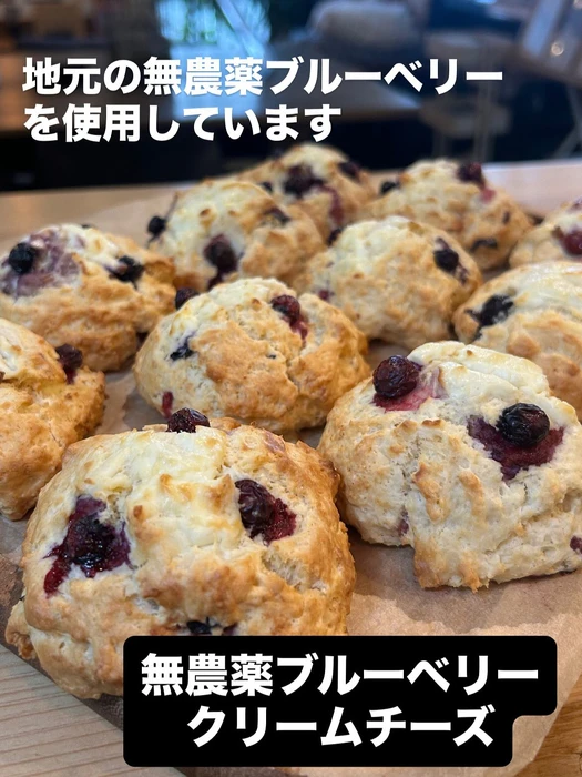 画像2554