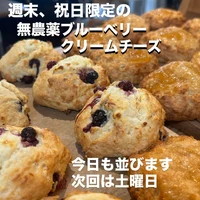 画像2561