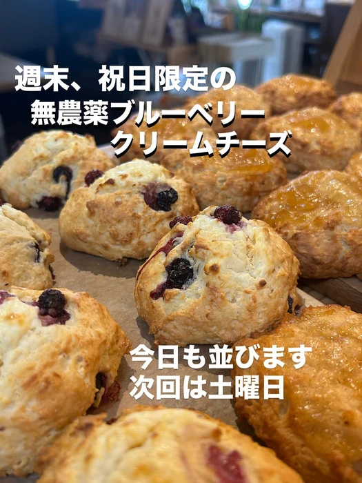 画像2561