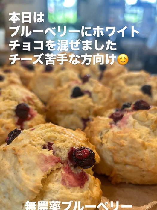画像2571