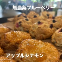 画像2572
