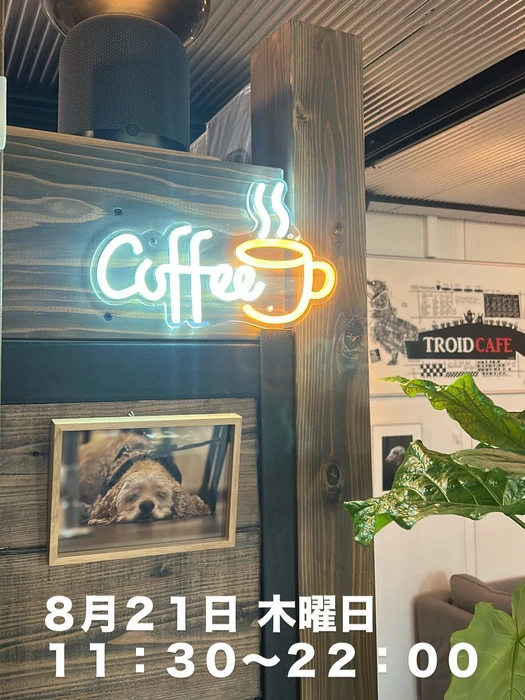 画像2587