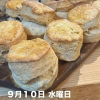 画像2669