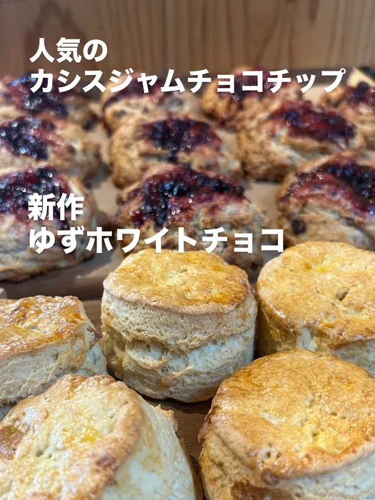 画像2670