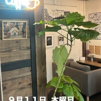 画像2683