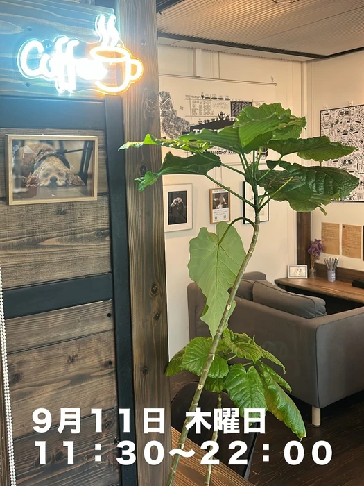 画像2683