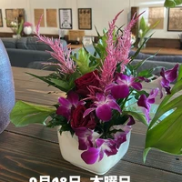 画像2716