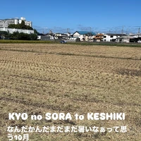 画像2813