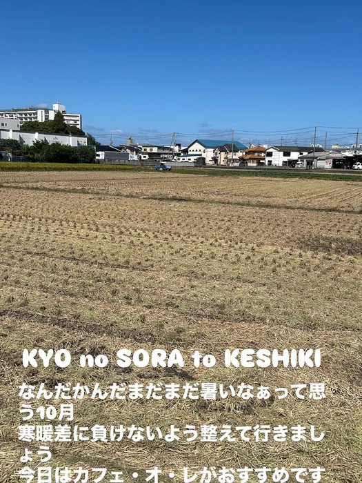 画像2813
