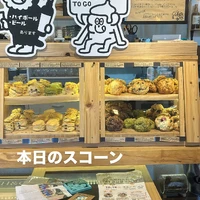 画像2816