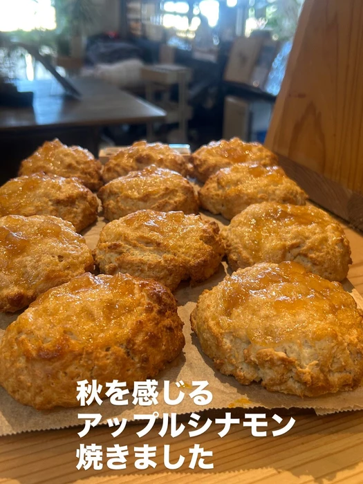 画像2818