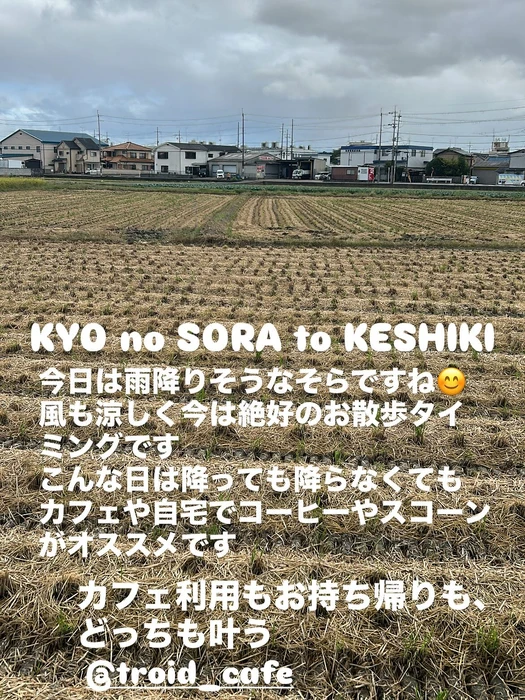 画像2831