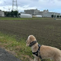 画像2832