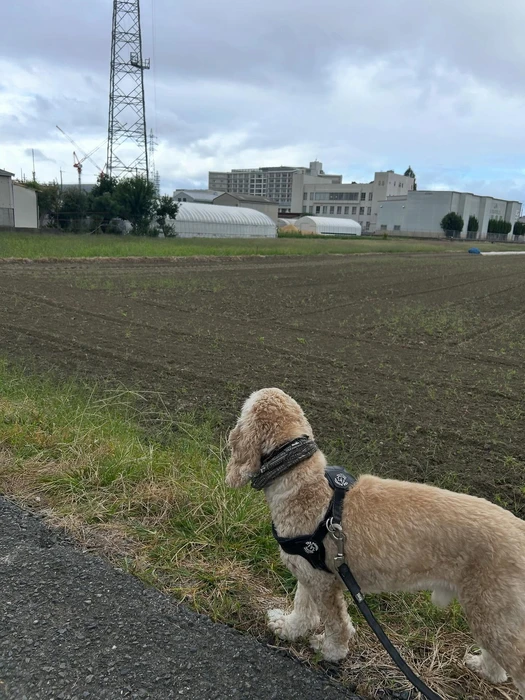画像2832