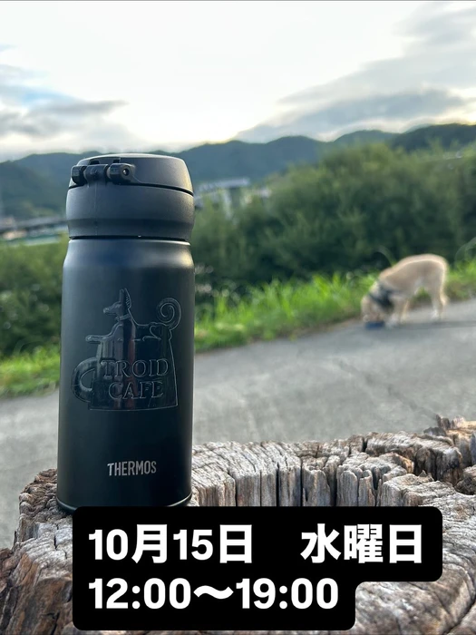 画像2834