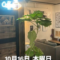 画像2837
