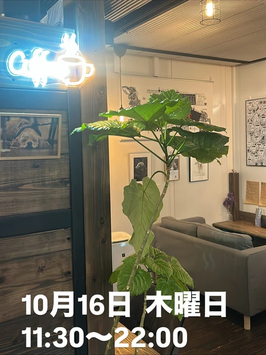 画像2837