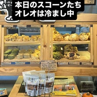 画像2956