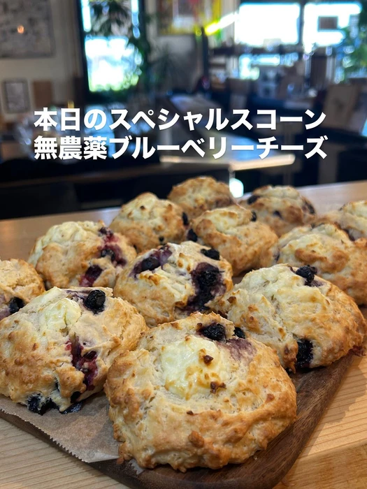 画像2969