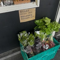 画像2984