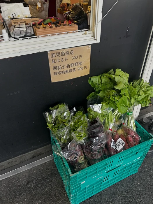画像2984