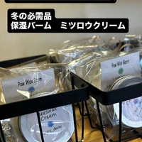 画像2986