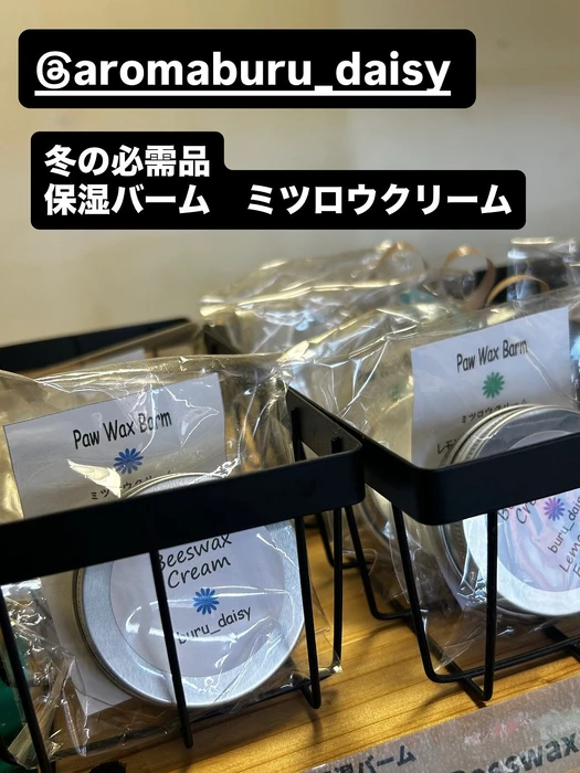 画像2986