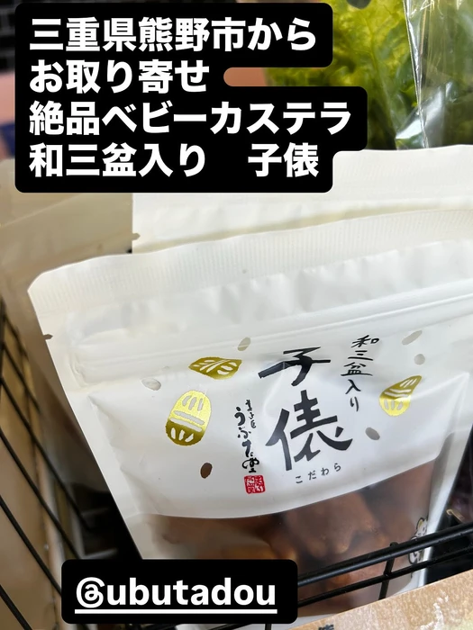 画像2987