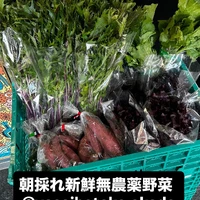 画像3030