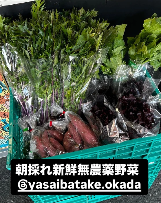 画像3030