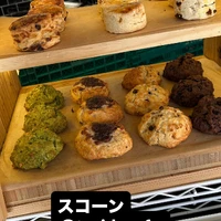 画像3033