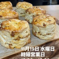 画像3036