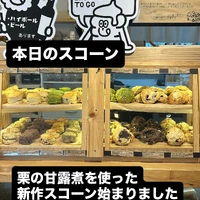 画像3079