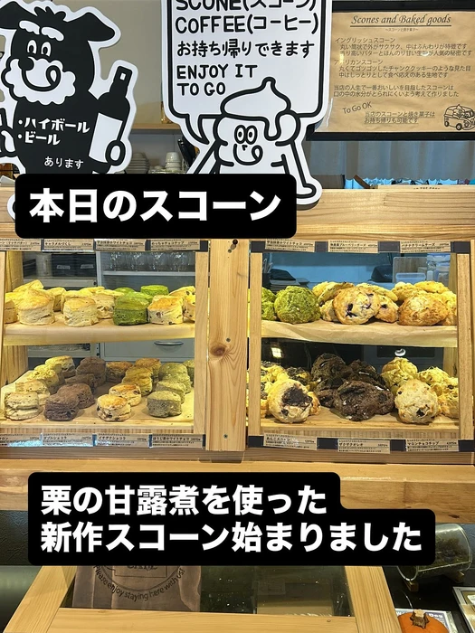 画像3079