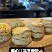 画像3081